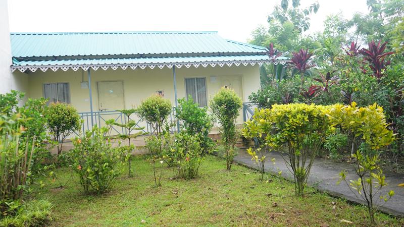 Cottage greenery