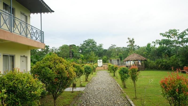 Pathway to the lawn